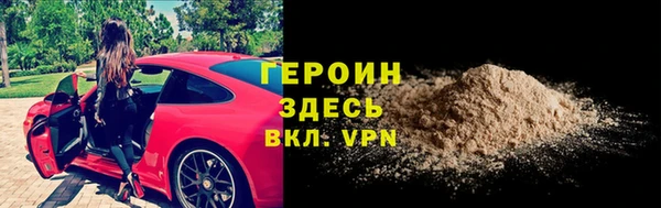гидра Ельня