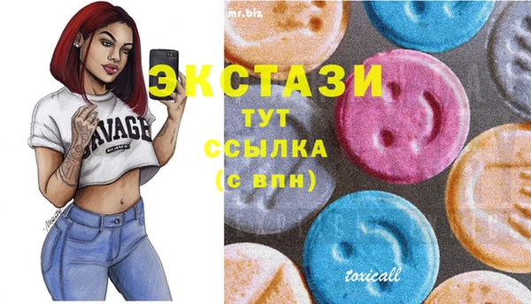 гидра Ельня
