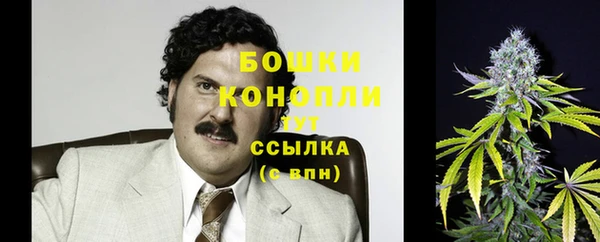 гидра Ельня