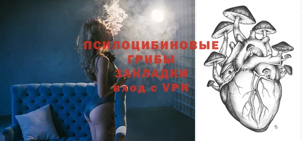 гидра Ельня