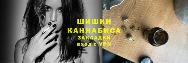 гидра Ельня