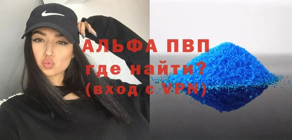 гидра Ельня