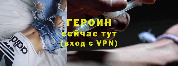гидра Ельня
