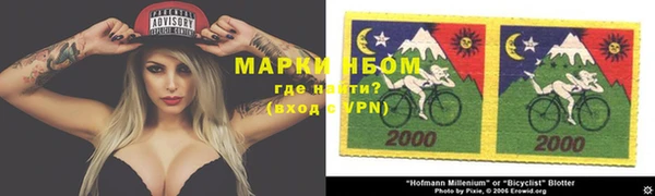 гидра Ельня