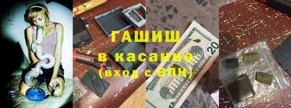 гидра Ельня