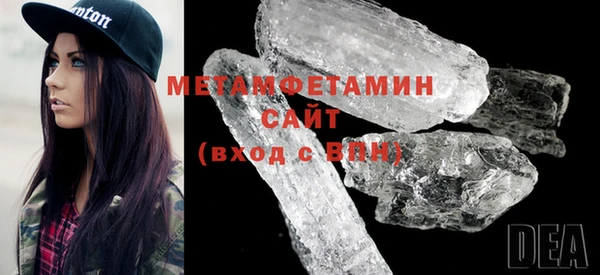 гидра Ельня