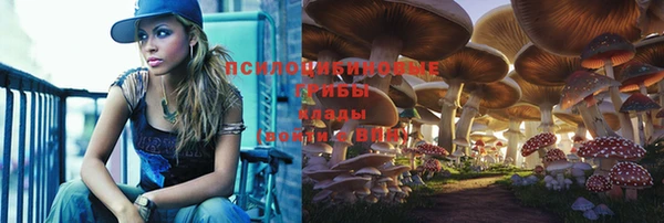прущая мука Елабуга
