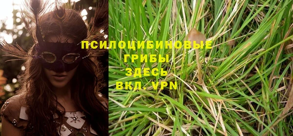 гидра Ельня