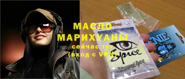 гидра Ельня