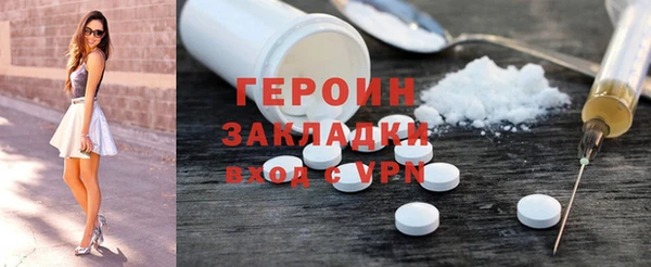гидра Ельня