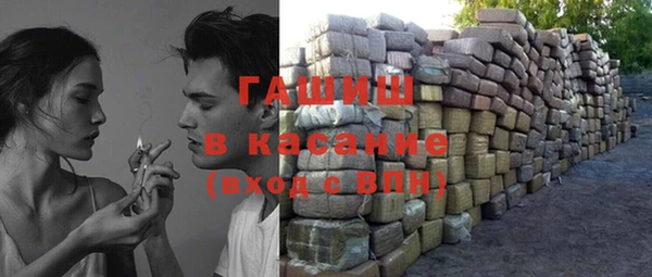 гидра Ельня