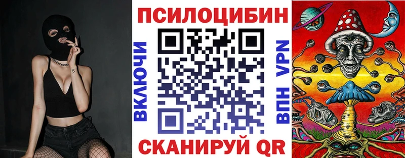 Псилоцибиновые грибы прущие грибы  OMG зеркало  Новая Ладога 
